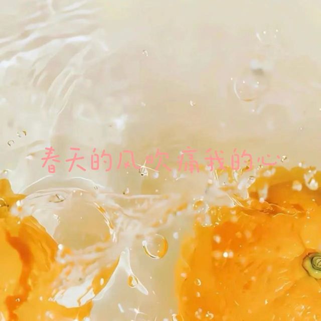 梨子芹菜 - '春天的风吹痛我的心' [Ringtone]