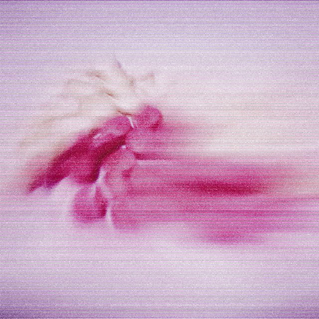 John Tejada - 'Moss and Pink (feat. Sainte Béatrix)' [Ringtone]