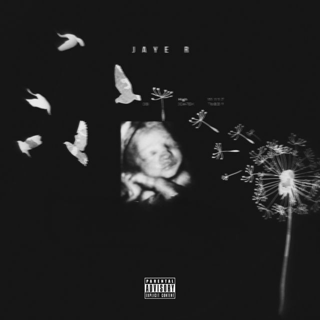 Jaye R - 'Baby Fever' [Ringtone]