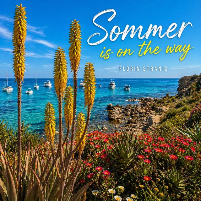strady1980 - 'Sommer is on the way' [Ringtone]