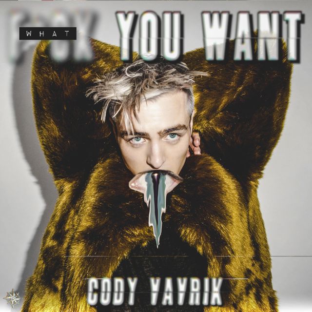 Cody Vavrik - 'What You Want' [Ringtone]