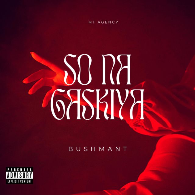 BushmanT - 'SO NA GASKIYA' [Ringtone]