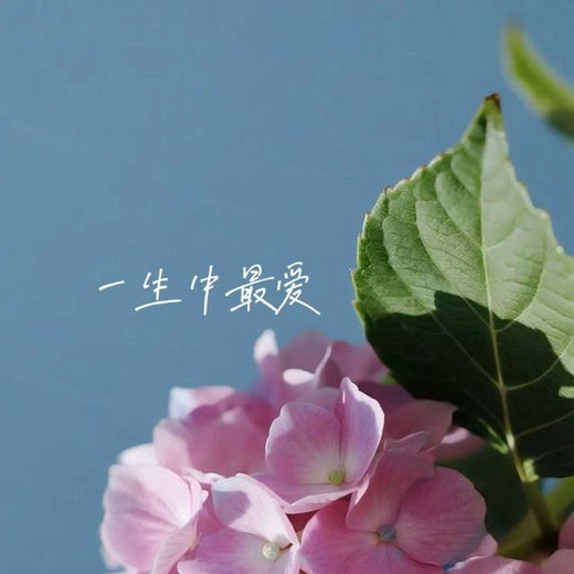 林诗曼 - '一生中最爱' [Ringtone]