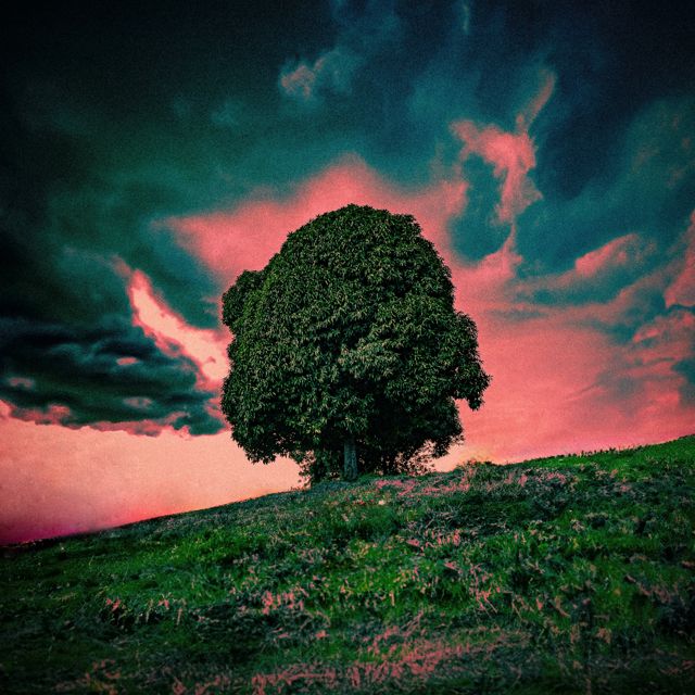 J Rochet - 'CICLO (feat. Kristal Fonrodona)' [Ringtone]
