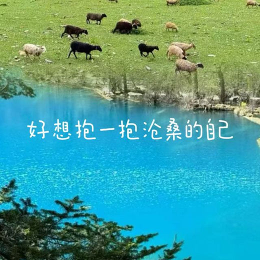 梨子芹菜 - '好想抱一抱沧桑的自己' [Ringtone]