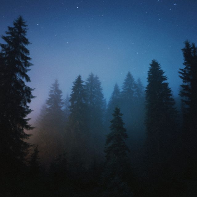 Envacity - 'distant light (feat. ANXNDA & sleep forever)' [Ringtone]