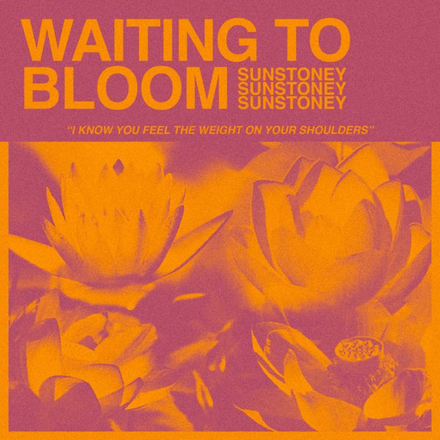 sunstoney - 'WAITING TO BLOOM' [Ringtone]