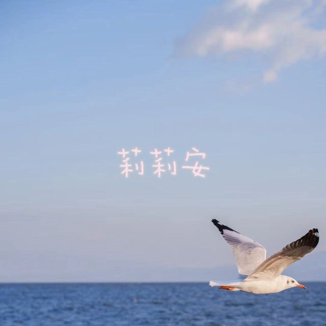 白兰滴 - '莉莉安' [Ringtone]