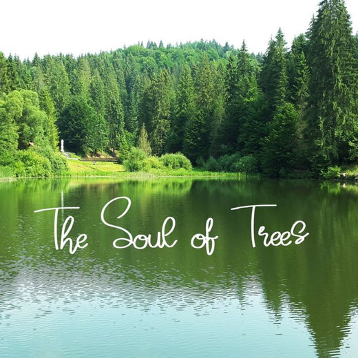 Aladu - 'The Soul of Trees' [Ringtone]