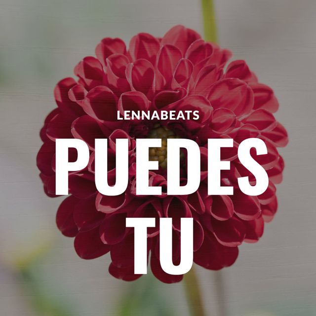 Lennabeats - 'Puedes tu' [Ringtone]
