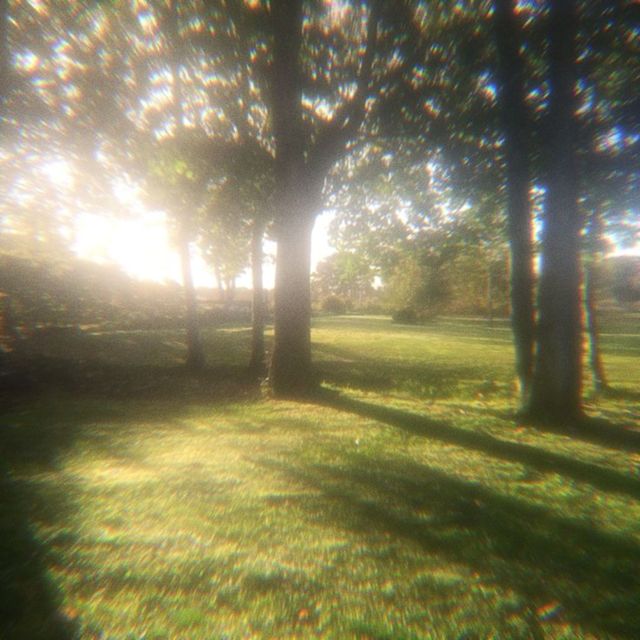 buks - 'summertime' [Ringtone]