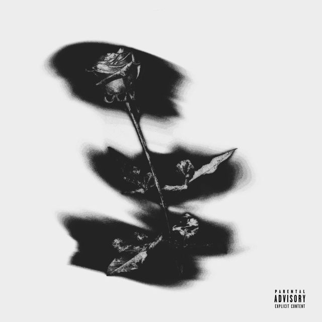 Franco Drew - 'Anymore' [Ringtone]