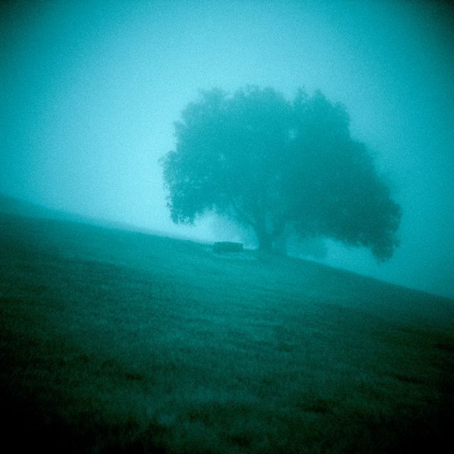 halfwaygone. - 'sun after rain. (slowed)' [Ringtone]