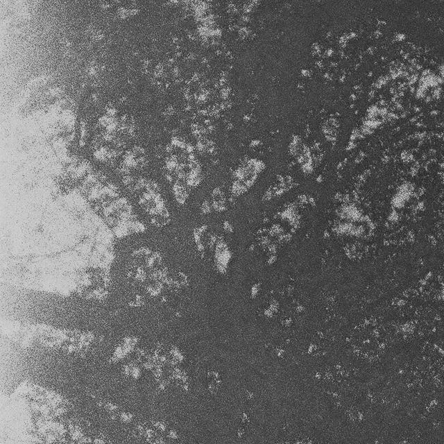 Slo Loris - 'Moonlit' [Ringtone]