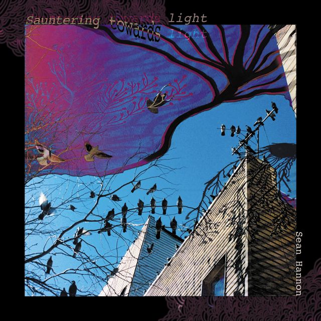 Sean Hannon - 'Insects in amber' [Ringtone]