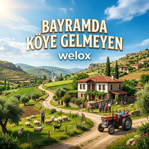 welox - 'Bayramda Köye Gelmeyen' [Ringtone]