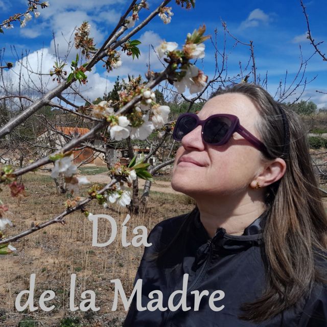 Miguel Peris - 'Día de la Madre' [Ringtone]