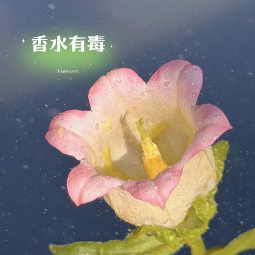 梨子芹菜 - '香水有毒 (撕裂版)' [Ringtone]