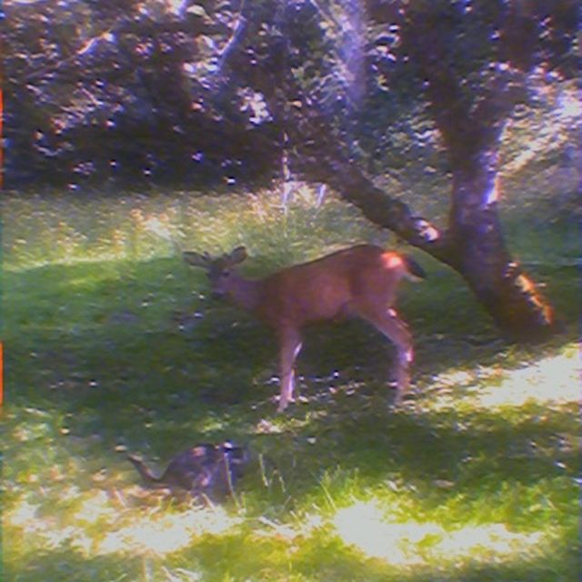 Porch Kiss - 'what's done is done (feat. Vhs Ghost)' [Ringtone]