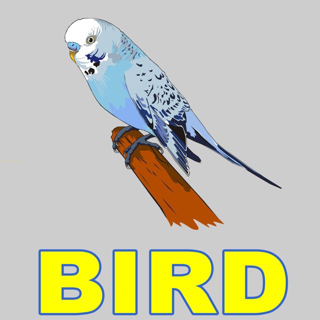 Animal Sounds - 'Bird' [Ringtone]