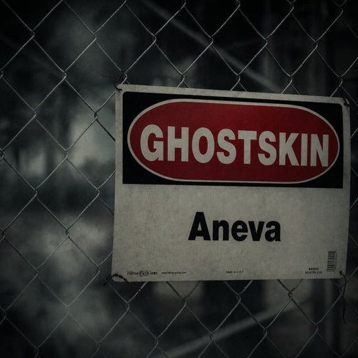 Aneva - 'I Can’t' [Ringtone]