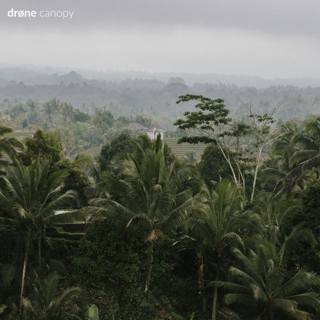 drøne. - 'reload' [Ringtone]