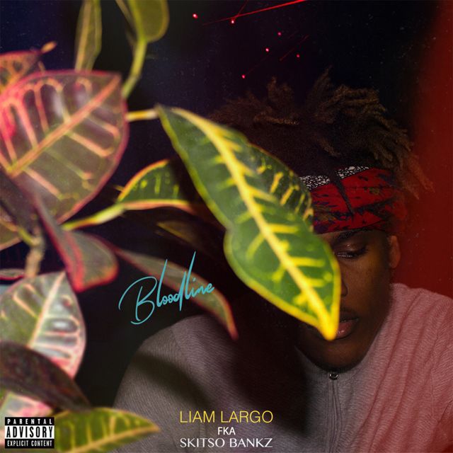 Liam Largo - 'Nosebleeds' [Ringtone]