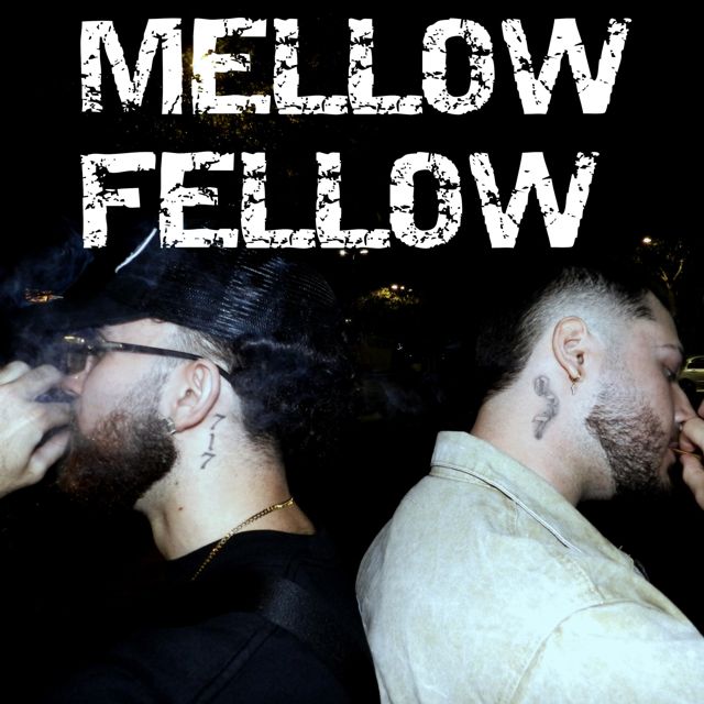 Firu - 'Mellow Fellow' [Ringtone]