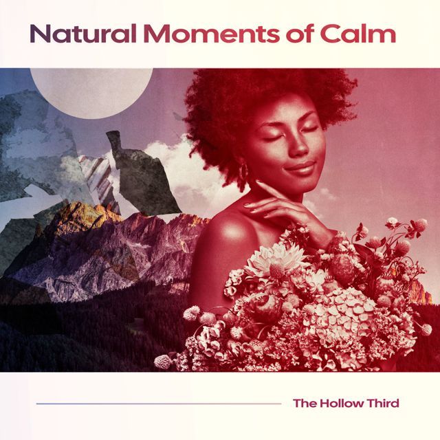 The Hollow Third - 'Birds of Beauty' [Ringtone]