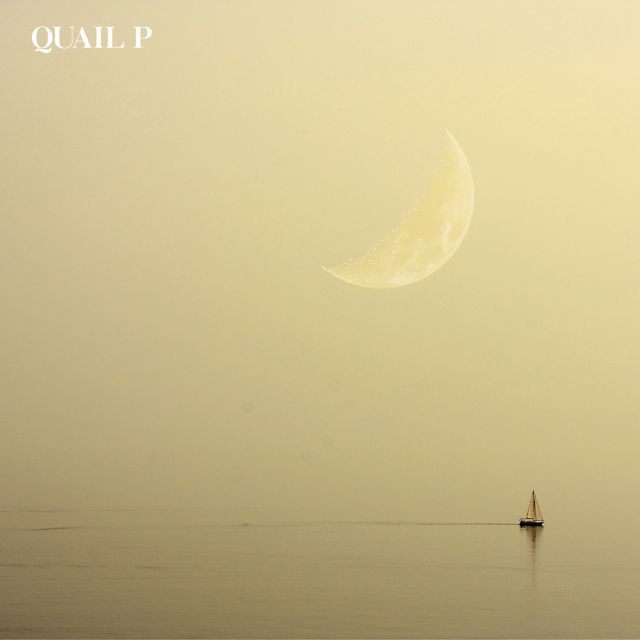 Quail P - 'Get You The Moon' [Ringtone]