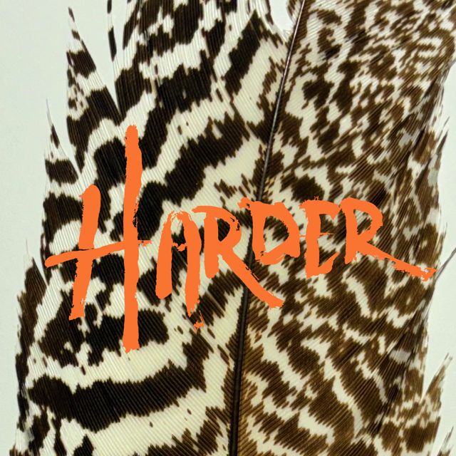 Kind Hearted Strangers - 'Harder' [Ringtone]