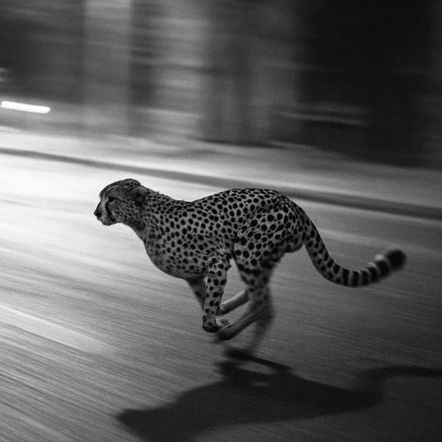 Aura$ - 'bitch ian lying (Slowed)' [Ringtone]