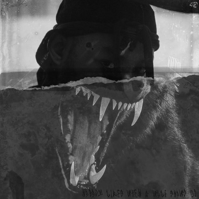 Alpha The Wolf - 'Florist' [Ringtone]