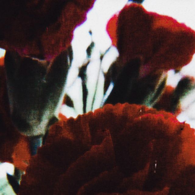 Ash Gallagher - '2 JUST L!E' [Ringtone]