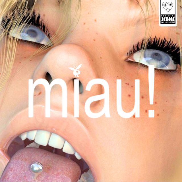 Sebastian Muzk - 'miau! (NightCore Version) (feat. Punki Cat)' [Ringtone]