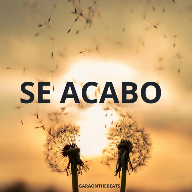 Garaonthebeats - 'Se acabo' [Ringtone]
