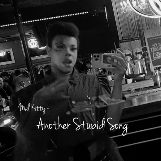 Mal Kitty - 'Another Stupid Song' [Ringtone]
