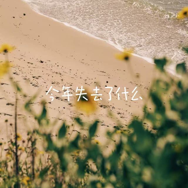 白兰滴 - '今年失去了什么' [Ringtone]