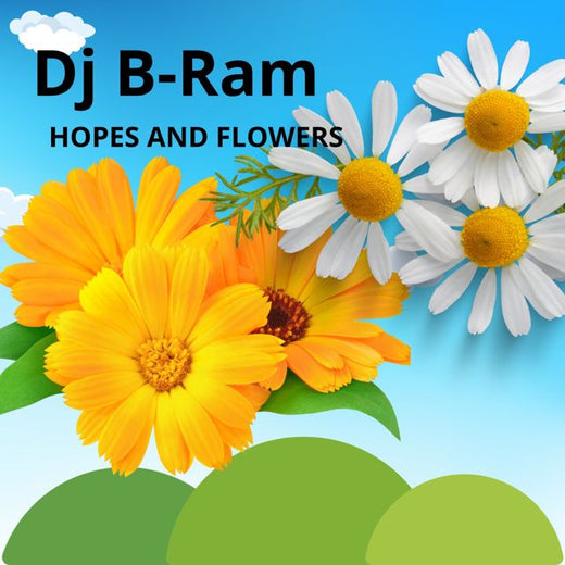 Dj B-Ram - 'HOPES AND FLOWERS' [Ringtone]
