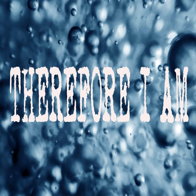 Dj Zannee - 'Therefore I Am (Chorus)' [Ringtone]