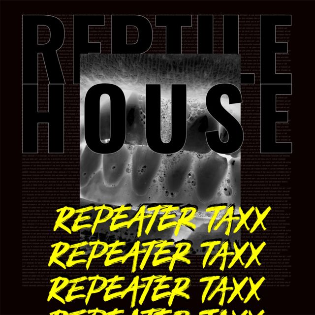 Reptile House - 'Promises Made (Interlude)' [Ringtone]