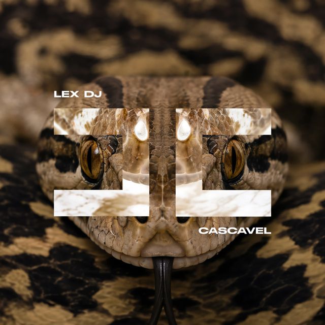 LEX DJ - 'CASCAVEL' [Ringtone]