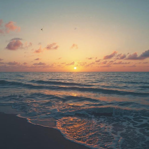 Dariya - 'The Quiet Deep' [Ringtone]