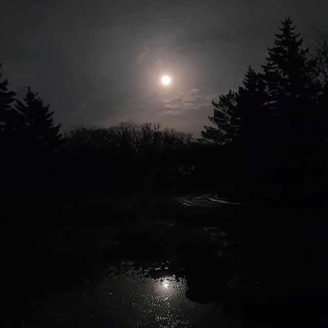 saturnsays - 'thaumaturgy' [Ringtone]