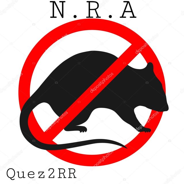 Quez2Rr - 'Never' [Ringtone]