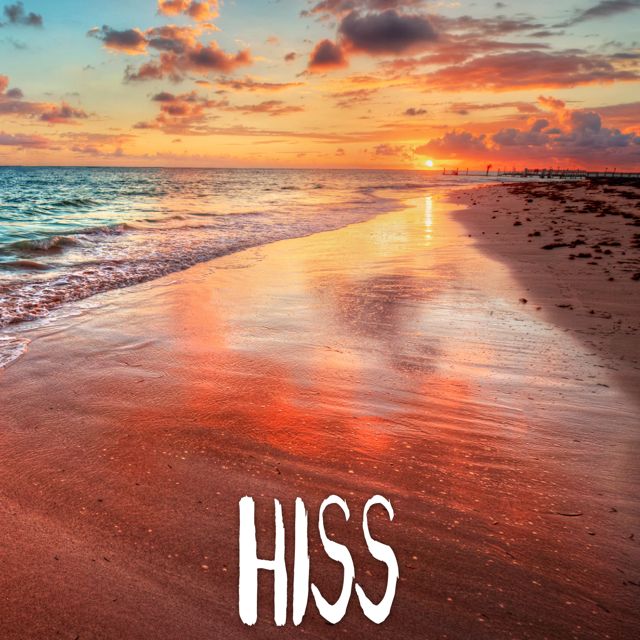 Tropical Jawns - 'Hiss (Marimba Version)' [Ringtone]