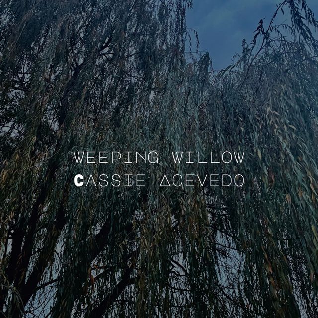 Cassie Acevedo - 'Weeping Willow' [Ringtone]