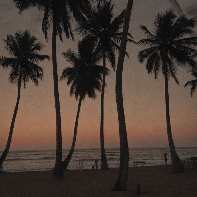 KALLYS - 'Bajo la Palma (feat. Readcardoes)' [Ringtone]