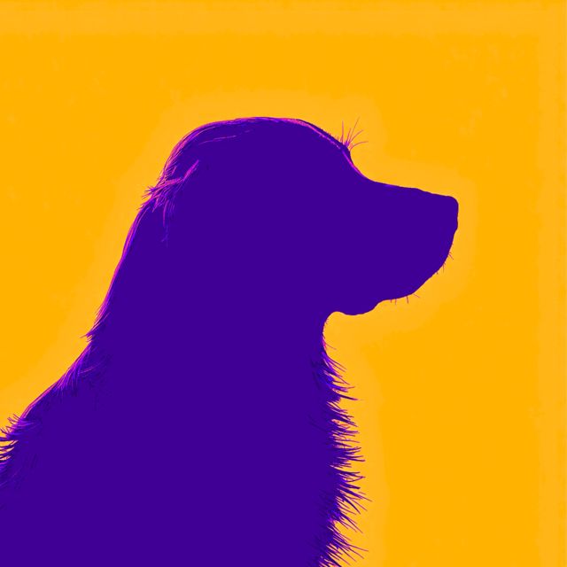 Una Noche en Bogotá - 'EMMA (feat. Medved)' [Ringtone]