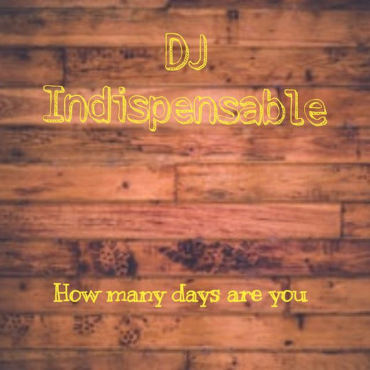 Dj Indispensable - 'How many days are you' [Ringtone]